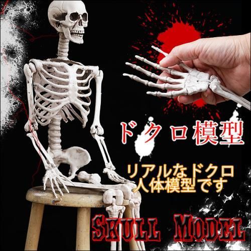 【即納】ドクロ 模型★全長92cmのBIGサイズガイコツ!リアルすぎる骸骨 標本!!◆誰もがビックリ二度見しちゃう髑髏★パーティー ハロウィン ハロウィーン パーティ 肝試し お化け屋敷 ホラー