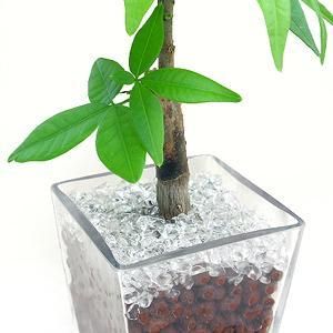 開運・縁起・パワー!水晶によるパワーストーン浄化!浄化用水晶チップス さざれ サザレ
