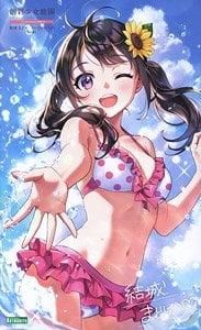 【期間限定ご奉仕特価品】【在庫あり★即納可能】コトブキヤ 創彩少女庭園 結城まどか【水着】 (プラモデル)