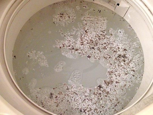 【お取り寄せ★納期 最長 約2週間】シャボン玉 洗濯槽クリーナー 500g