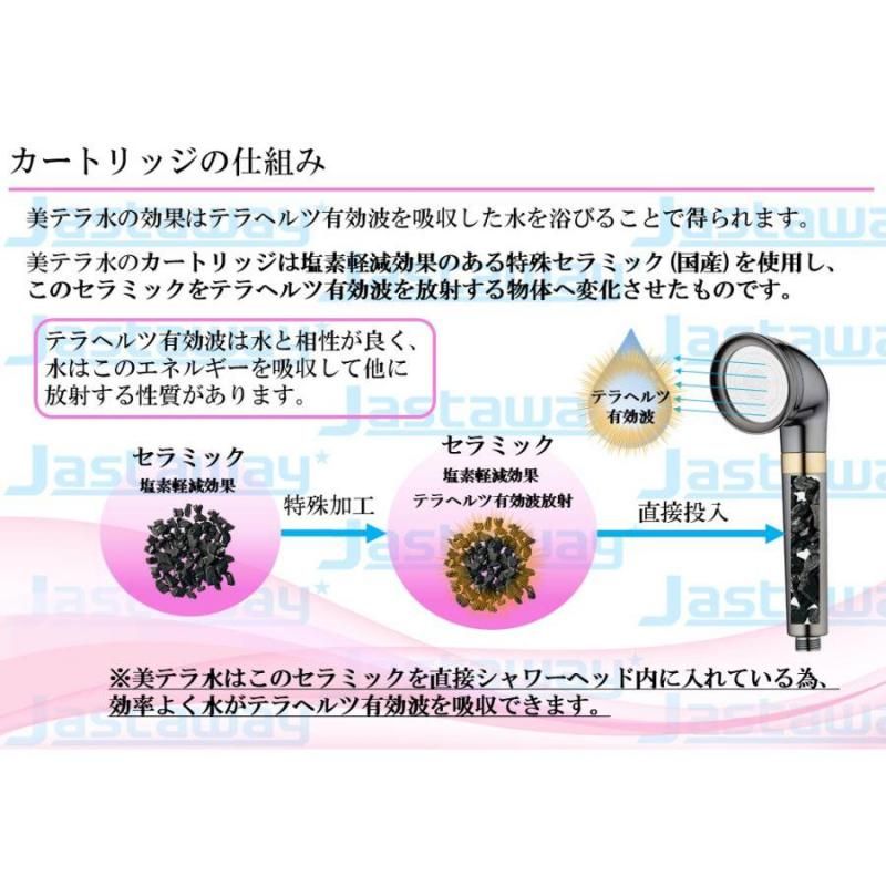 【お取り寄せ★納期 最長 約2週間】テラヘルツ波 シャワーヘッドの最高峰「美テラ水」★美髪・美肌へ 長く美しく 身体全体を整える