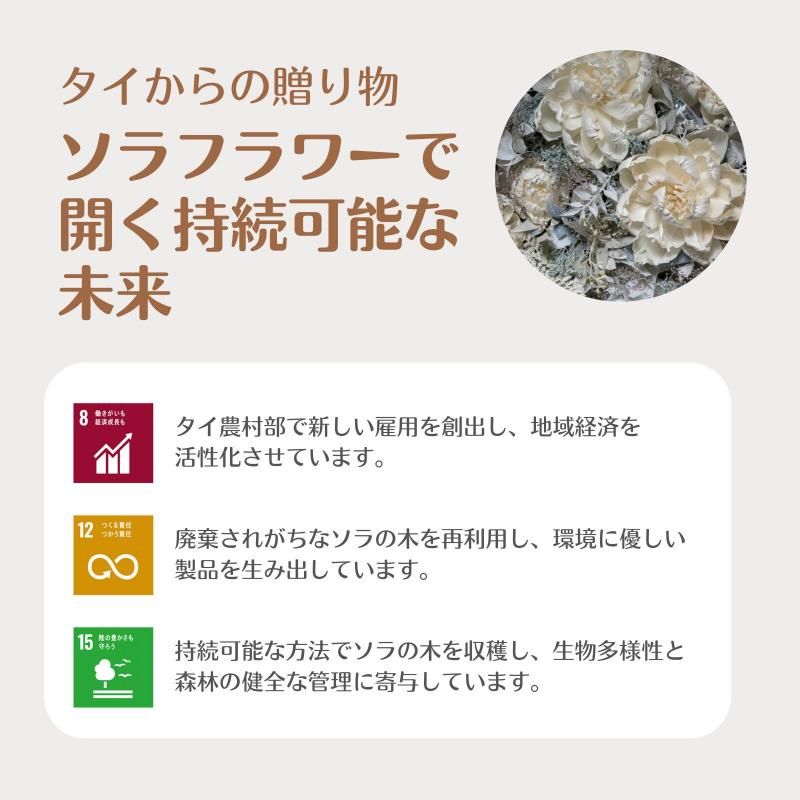 【お取り寄せ★納期 最長 約1ヶ月】フラワー雑貨 フラワーギフト アレンジ ソラフラワー ストライプボックス プリザーブドフラワー