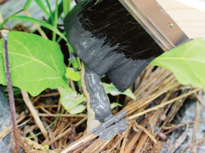 【お取り寄せ★納期 最長 約2週間】菜園EMパウダー 400g