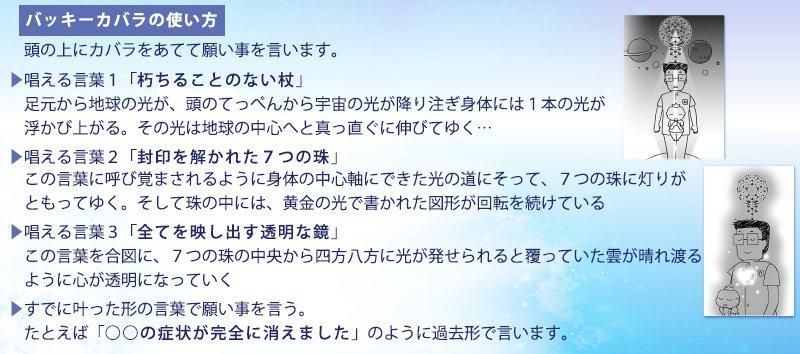【お取り寄せ★納期 最長 約2週間】3Dカバラ バッキーカバラ★生命場を整え高次元のエネルギーを取り込む運気向上★奇跡のコイルBLACK EYEブラックアイの医学博士丸山修寛監修
