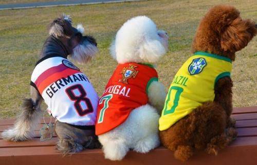 犬服 サッカー ユニフォーム風 ドッグウェア★ペットチョッキ 愛犬 ハロウィン 洋服★ポルトガル/ニュージーランド/ブラジル/アルゼンチン/ドイツ/スペイン/フランス/イタリア【新品★未使用品】