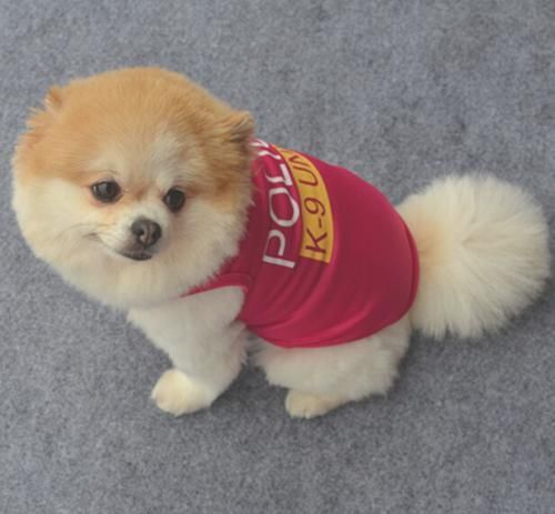 警察犬風 ペットチョッキ 夏用 POLICE K-9 UNIT★愛犬 ハロウィン 犬洋服 【新品★未使用品】【悪用禁止】