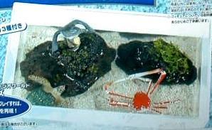 タカラ ナチュロッQ　ジワールド