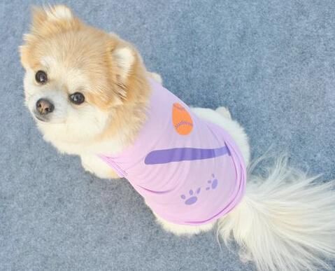 犬服 ペット用 チョッキ ＸＳ/Ｓ/Ｍ/Ｌ★愛犬 ハロウィン ドッグウェア 洋服 ベスト【新品★未使用品】