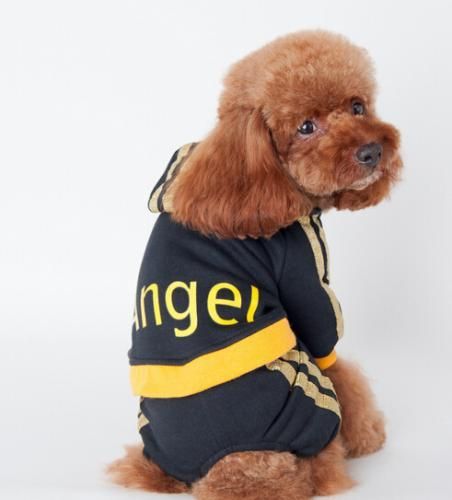 ペット用 ジャージ トレーナーパーカー ブラック/ピンク★フード付き冬用犬服 愛犬 ハロウィン 洋服 ドッグサイズ 仮装【新品★未使用品】