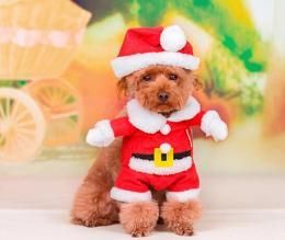 サンタクロース コスチューム ペット用 XS～XLサイズ★ドッグサイズ コスプレ★犬服 クリスマス衣装★仮装【新品★未使用品】