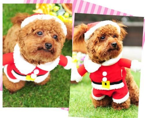 サンタクロース コスチューム ペット用 XS～XLサイズ★ドッグサイズ コスプレ★犬服 クリスマス衣装★仮装【新品★未使用品】