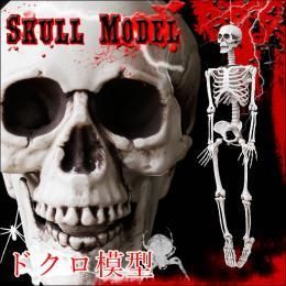 【即納】ドクロ 模型★全長92ｃｍのBIGサイズガイコツ！リアルすぎる骸骨 標本！！◆誰もがビックリ二度見しちゃう髑髏★パーティー ハロウィン ハロウィーン パーティ 肝試し お化け屋敷 ホラー