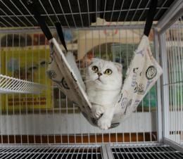 猫用 ハンモック★ペット用品 ベッド★選べる7種類【新品★未使用品】