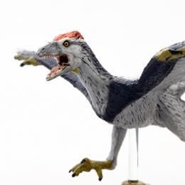 【在庫あり★即納可能】フェバリット 恐竜 アーケオプテリクス/ 始祖鳥 ソフトモデル【FDW-015】【新品★未使用品】