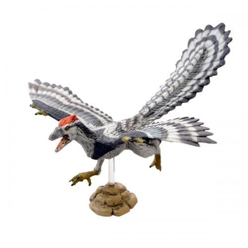 【在庫あり★即納可能】フェバリット 恐竜 アーケオプテリクス/ 始祖鳥 ソフトモデル【FDW-015】【新品★未使用品】