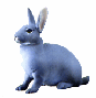 タカラ チョコQ ペット動物 第4弾 開封販売