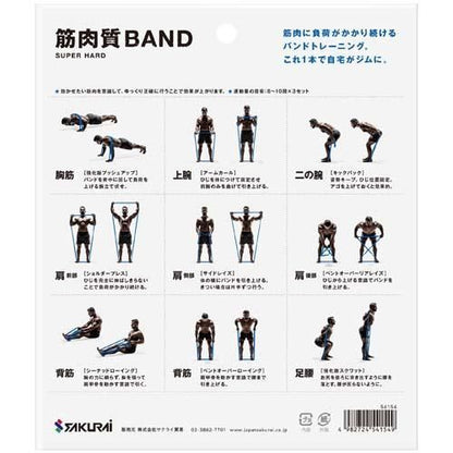【在庫あり★即納可能】SAKURAI erugam 筋肉質バンド スタンダード