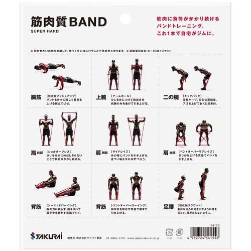 【在庫あり★即納可能】SAKURAI erugam 筋肉質バンド ハード