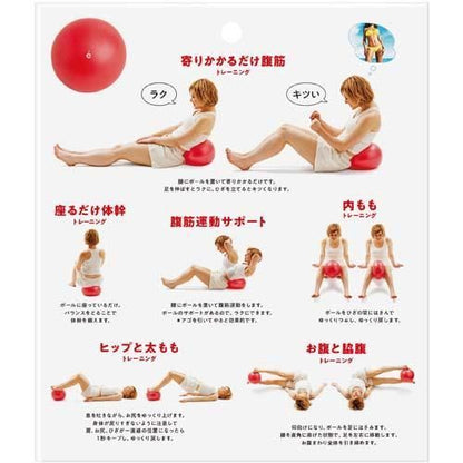 【在庫あり★即納可能】SAKURAI erugam 腹筋たま レッド