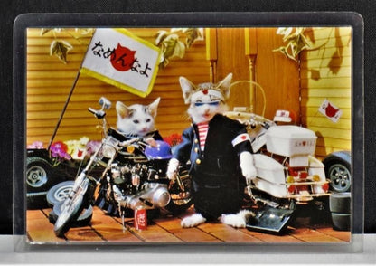 【在庫あり★即納可能】当時物 新品 なめ猫 全日本暴猫連合なめんなよ カードコレクション BR-120 ラミネートカード