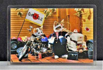 【在庫あり★即納可能】当時物 新品 なめ猫 全日本暴猫連合なめんなよ カードコレクション BR-117 ラミネートカード
