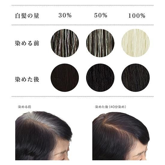 ナイアード(naiad) ヘナ+木藍(モクラン) 100g/400g 茶系 黒茶系 黒★白髪染め ヘアカラー ヘナカラー ヘアーカラー ヘナパウダー