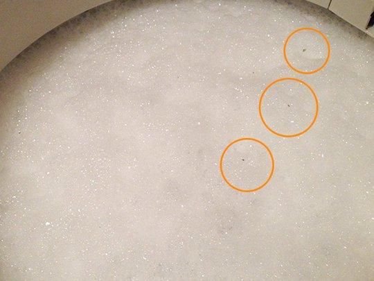 【お取り寄せ★納期 最長 約2週間】シャボン玉 洗濯槽クリーナー 500g