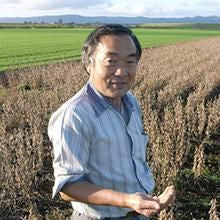 【お取り寄せ★納期 最長 約2週間】平譯（ひらわけ）さんの 金時豆 （赤金時）200g（栽培期間中 農薬・化学肥料不使用 / 北海道産） 