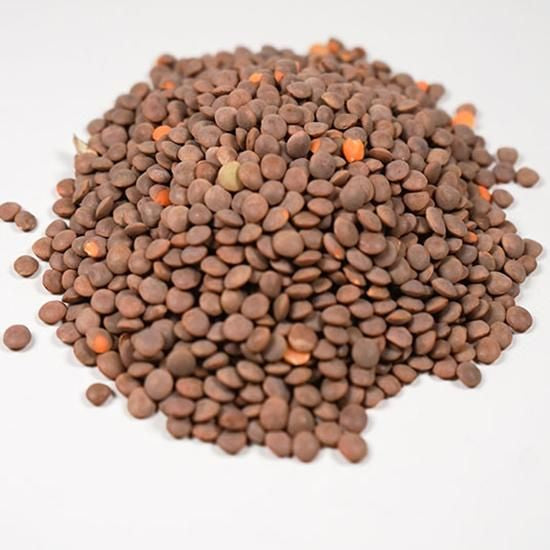 【お取り寄せ★納期 最長 約2週間】アリサン P04L 有機茶レンズ豆 1kg