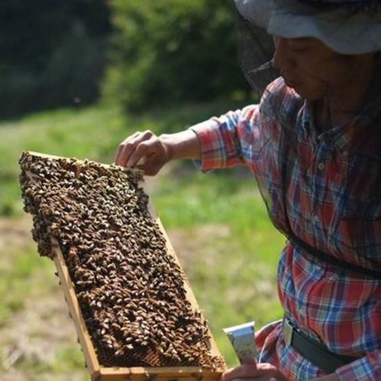 【お取り寄せ★納期 最長 約2週間】瀬戸内タカノスファーム 島のはちみつ 190g