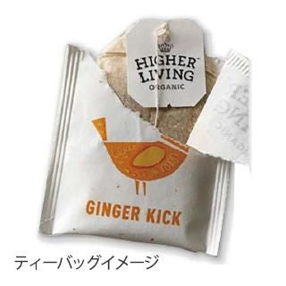【お取り寄せ★納期 最長 約2週間】MIE ハイアリヴィング モリンガ&ペパーミント（ティーバッグ） 15P/22g