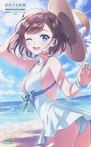 【在庫あり★即納可能】コトブキヤ 創彩少女庭園 小鳥遊暦【水着】 (プラモデル)