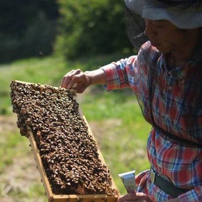 【お取り寄せ★納期 最長 約2週間】瀬戸内タカノスファーム 島のはちみつ 500g