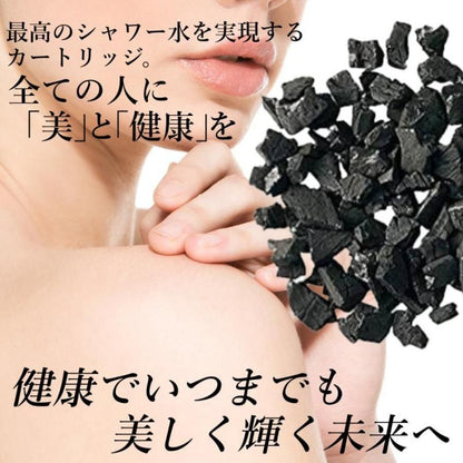 【お取り寄せ★納期 最長 約2週間】テラヘルツ波 シャワーヘッドの最高峰「美テラ水」★美髪・美肌へ　長く美しく 身体全体を整える