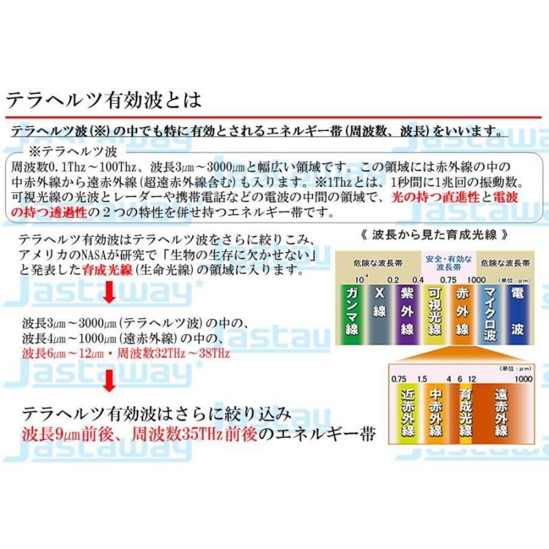 【お取り寄せ★納期 最長 約2週間】テラヘルツ波 シャワーヘッドの最高峰「美テラ水」★美髪・美肌へ　長く美しく 身体全体を整える