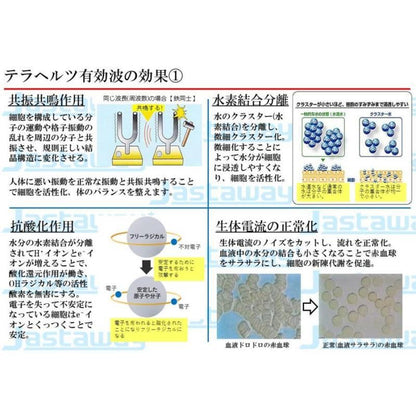 【お取り寄せ★納期 最長 約2週間】テラヘルツ波 シャワーヘッドの最高峰「美テラ水」★美髪・美肌へ　長く美しく 身体全体を整える