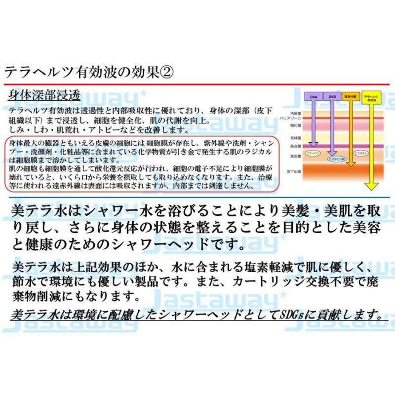 【お取り寄せ★納期 最長 約2週間】テラヘルツ波 シャワーヘッドの最高峰「美テラ水」★美髪・美肌へ　長く美しく 身体全体を整える
