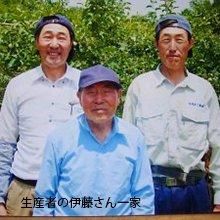 【お取り寄せ★納期 最長 約2週間】伊藤農園 りんごのしずく（りんごジュース ストレート） 1000ml
