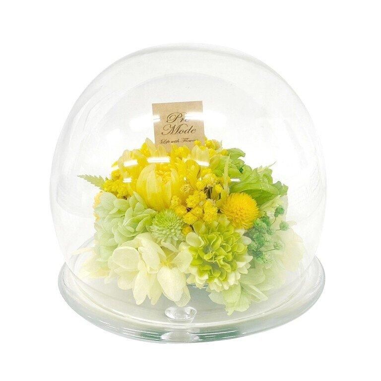 【お取り寄せ★納期 最長 約1ヶ月】プラネットマム リンギク ドーム型プリザーブドフラワー★仏花 お供え キク 菊 リンギク 輪菊 ギフト 母の日