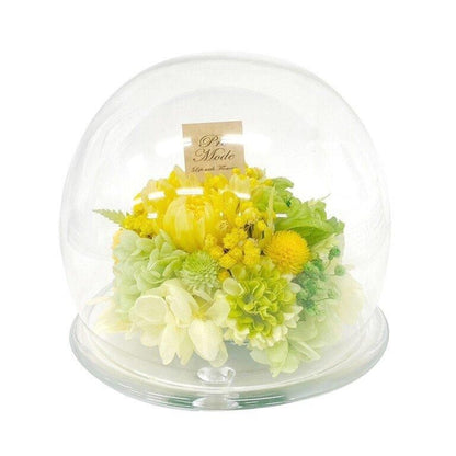 【お取り寄せ★納期 最長 約1ヶ月】プラネットマム リンギク ドーム型プリザーブドフラワー★仏花 お供え キク 菊 リンギク 輪菊 ギフト 母の日