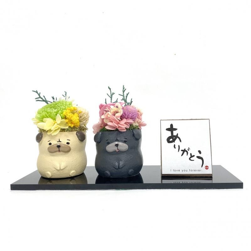 【お取り寄せ★納期 最長 約1ヶ月】ペアーズ ペット用お供え マム プリザーブドフラワー★現代仏花 供花 お供え バラ 菊 キク 和風 ギフト プレゼント