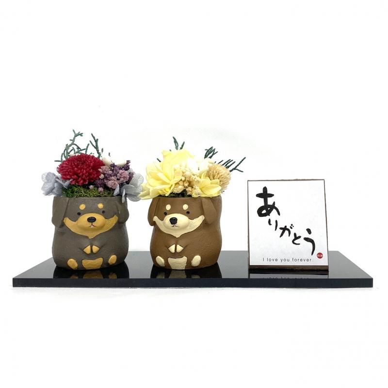 【お取り寄せ★納期 最長 約1ヶ月】ペアーズ ペット用お供え マム プリザーブドフラワー★現代仏花 供花 お供え バラ 菊 キク 和風 ギフト プレゼント