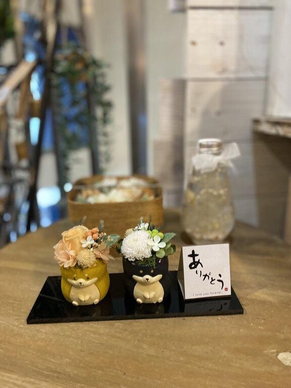 【お取り寄せ★納期 最長 約1ヶ月】ペアーズ ペット用お供え マム プリザーブドフラワー★現代仏花 供花 お供え バラ 菊 キク 和風 ギフト プレゼント
