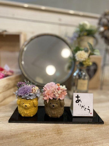 【お取り寄せ★納期 最長 約1ヶ月】ペアーズ ペット用お供え マム プリザーブドフラワー★現代仏花 供花 お供え バラ 菊 キク 和風 ギフト プレゼント
