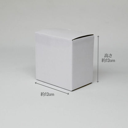 【お取り寄せ★納期 最長 約1ヶ月】トランスペアレント S プリザーブドフラワー★ソラフラワー フラワー雑貨 インテリア お祝い ギフト　誕生日