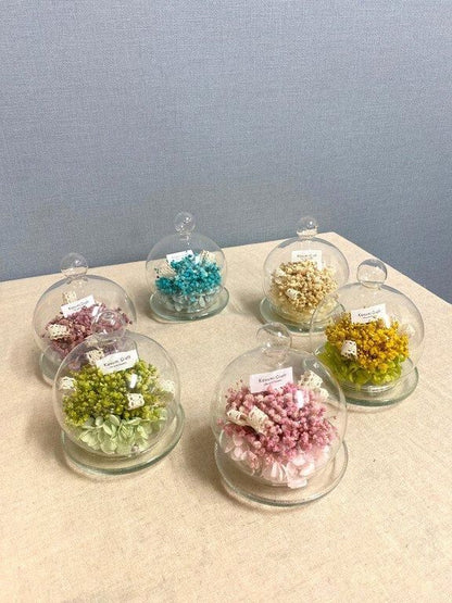 【お取り寄せ★納期 最長 約1ヶ月】ベイビーズグラスドーム プリザーブドフラワー★カスミソウ ドーム型 ギフト 母の日