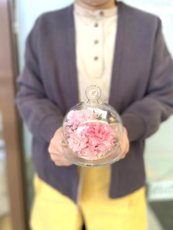 【お取り寄せ★納期 最長 約1ヶ月】カーネーショングラスドーム プリザーブドフラワー★カーネーション ドーム型 ギフト プレゼント 母の日