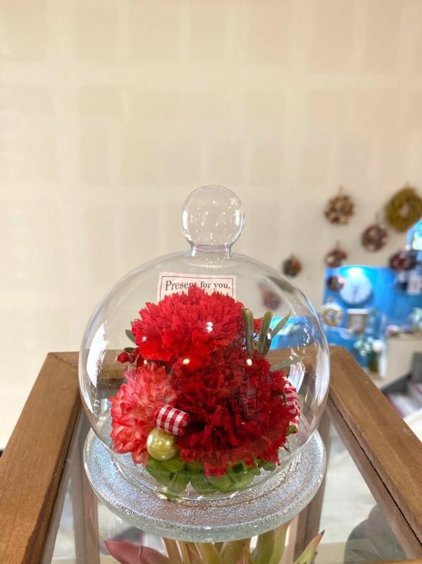 【お取り寄せ★納期 最長 約1ヶ月】カーネーショングラスドーム プリザーブドフラワー★カーネーション ドーム型 ギフト プレゼント 母の日