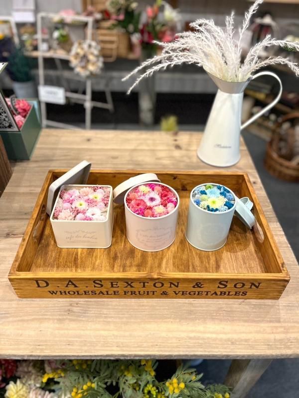 【お取り寄せ★納期 最長 約1ヶ月】カフェdeミンティ プリザーブドフラワー 菊★キク ギフト プレゼント 母の日 キャニスター缶