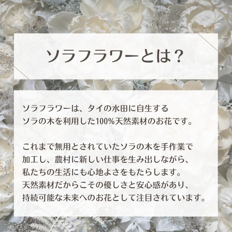 【お取り寄せ★納期 最長 約1ヶ月】ブーケインバッグ S プリザーブドフラワー★フラワーアレンジ　ソラフラワー フラワー雑貨 インテリア お祝い ギフト